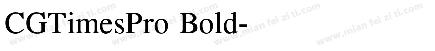 CGTimesPro Bold字体转换